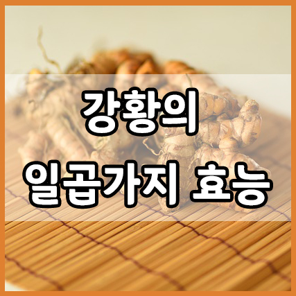  강황 : 건강에 좋은 일곱 가지 효능