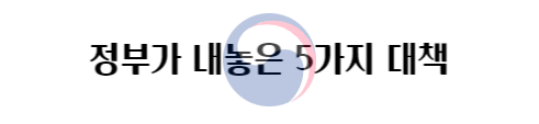 정부 대책 5가지