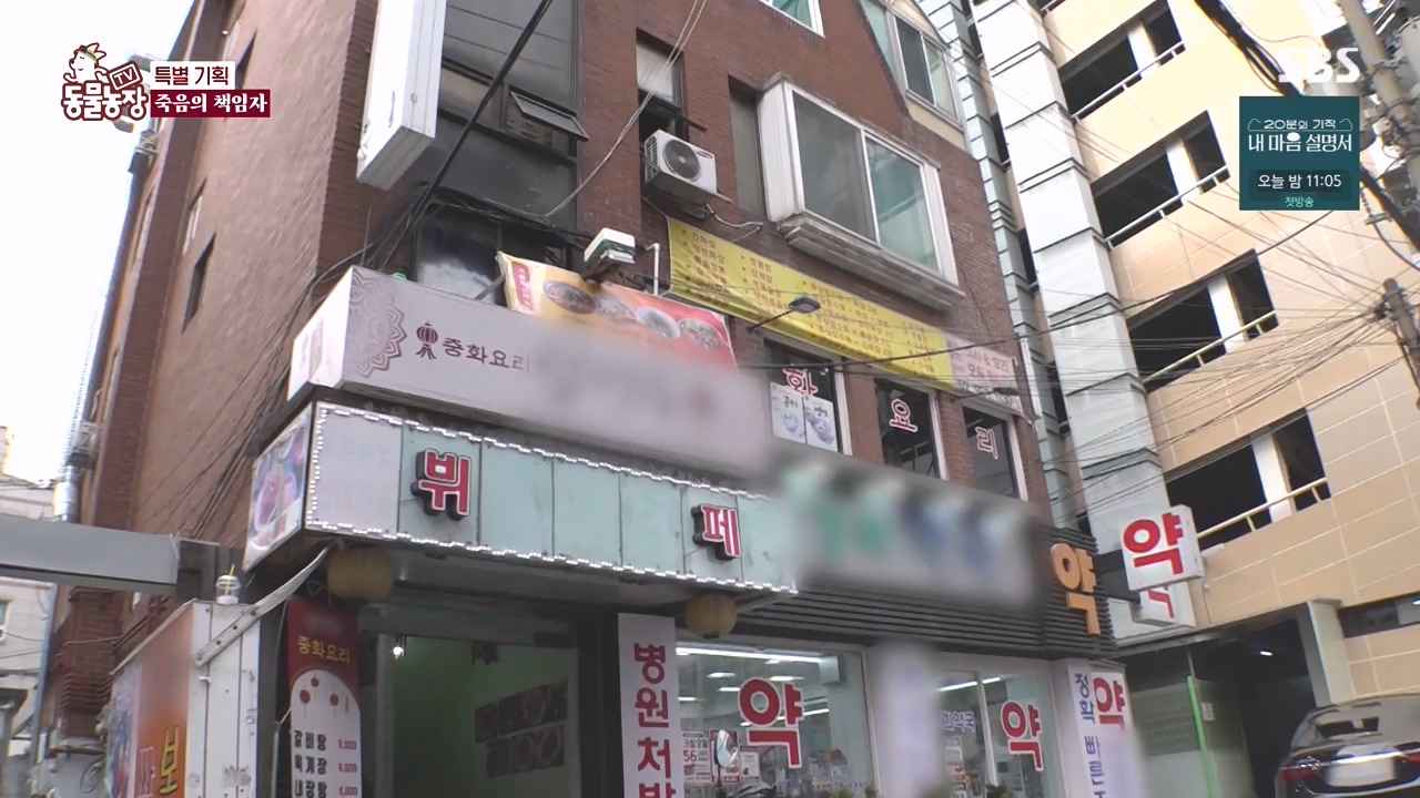 TV 동물농장.E1171.240513p-NEXT.mp4_20240512_163348.163.jpg