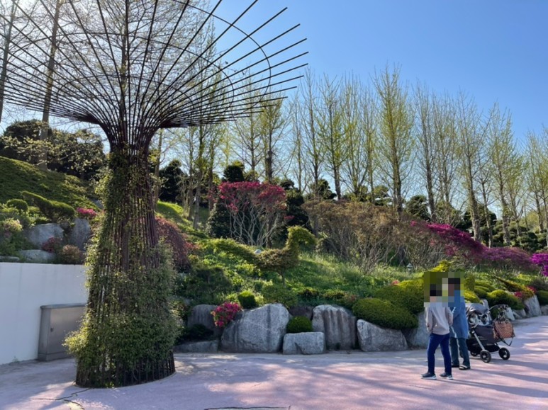 세종 가볼만한곳세종 가볼만한곳베어트리파크 13