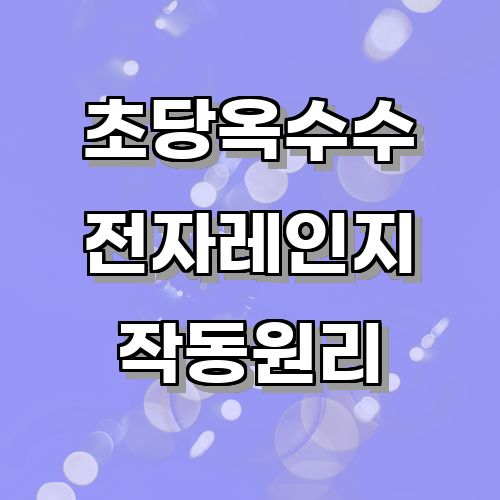 초당옥수수전자레인지의 작동 원리와 주요 기능에 대해 알아보기