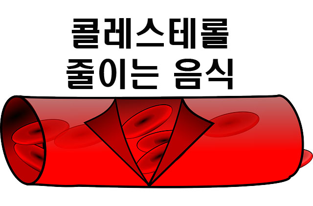  혈관건강 콜레스테롤을 줄이는 음식