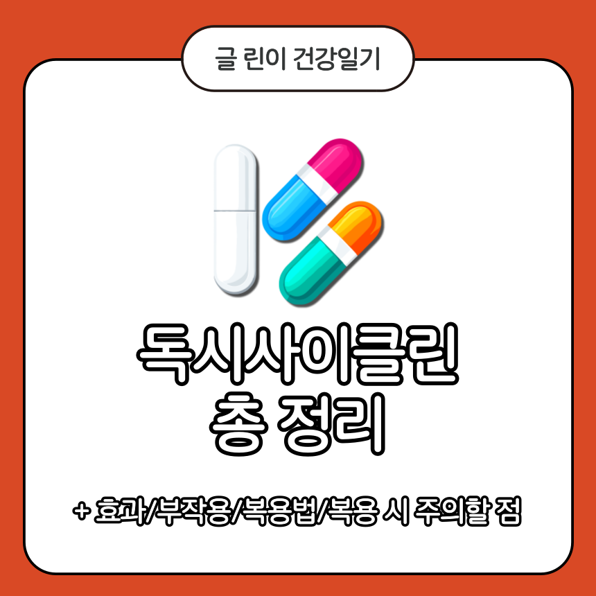  독시사이클린 (doxycycline) 총 정리