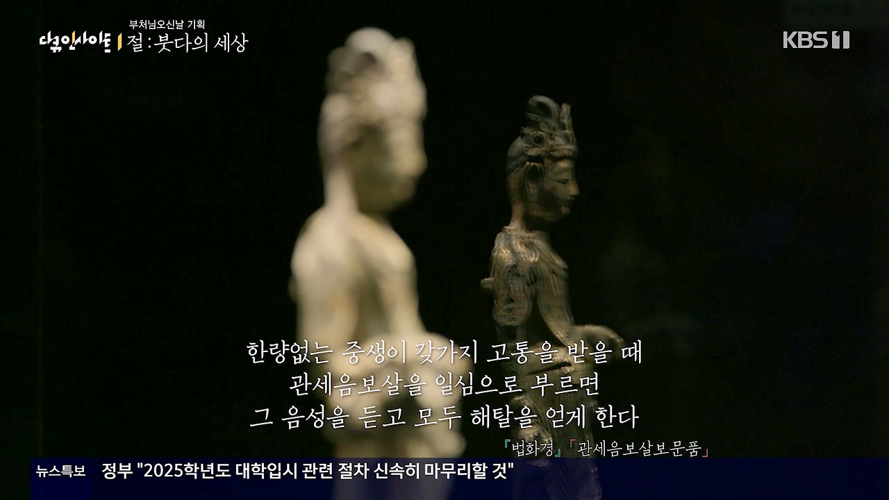 다큐 인사이트.E185.240517p-NEXT.mp4_20240517_202351.282.jpg