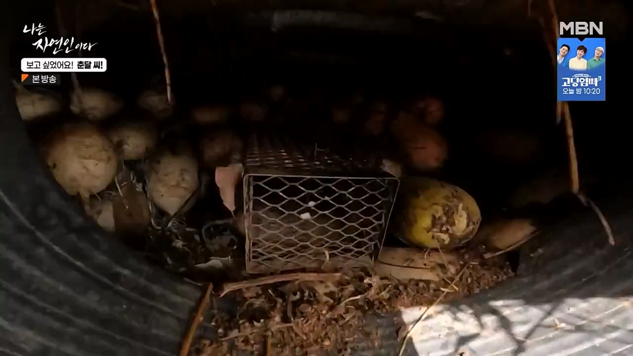 나는 자연인이다.E548.230406p-NEXT.mp4_20230406_195746.262.jpg