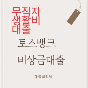 토스뱅크 비상금대출