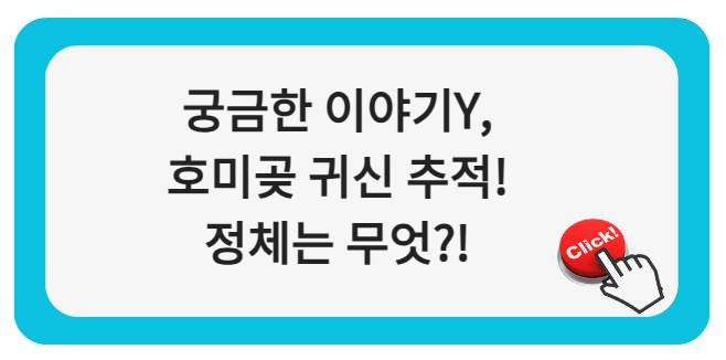 궁금한 이야기Y, 호미곶 귀신 추적! 정체는 무엇?!