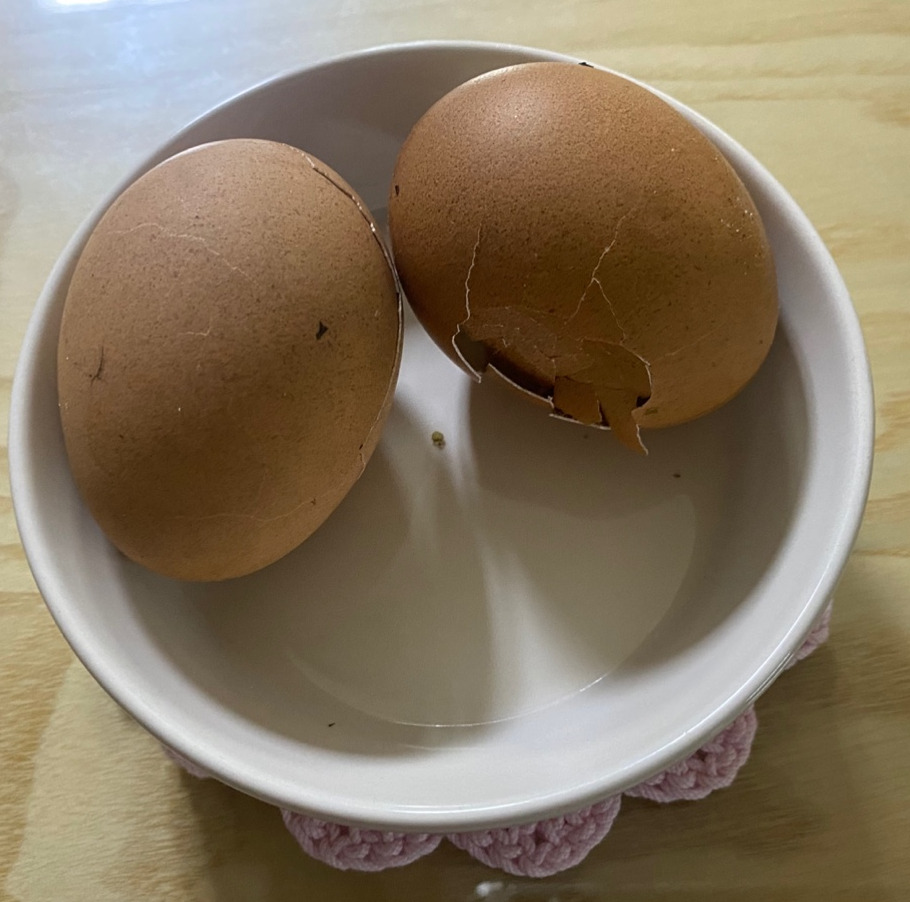 만능전기 이미지