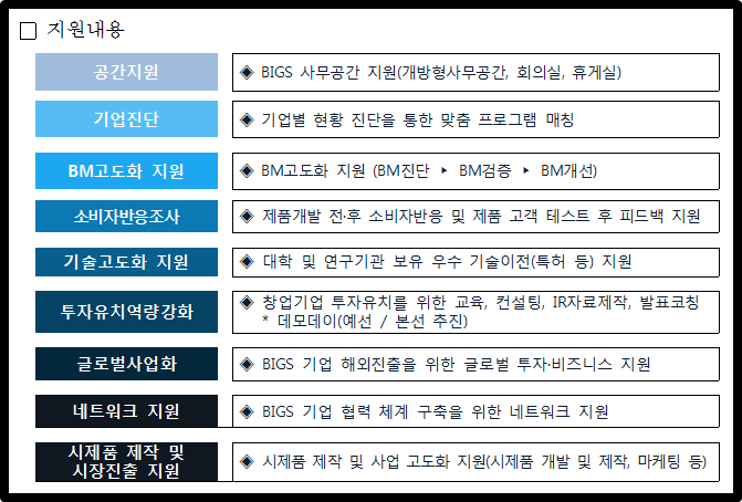2023년 BIGS 지원내용