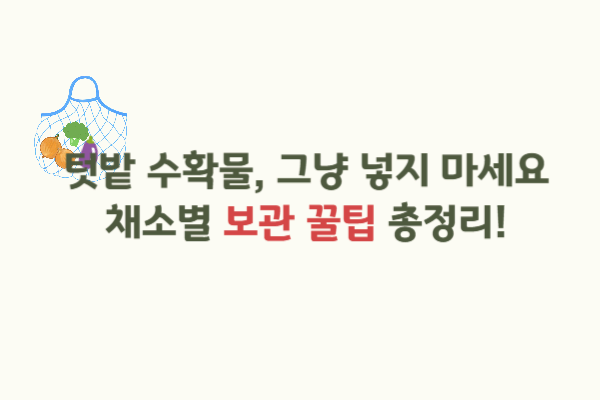 텃밭 작물 수확 후 보관법 총정리｜여름철 고추·오이·상추·감자 싱싱하게 유지하는 비법