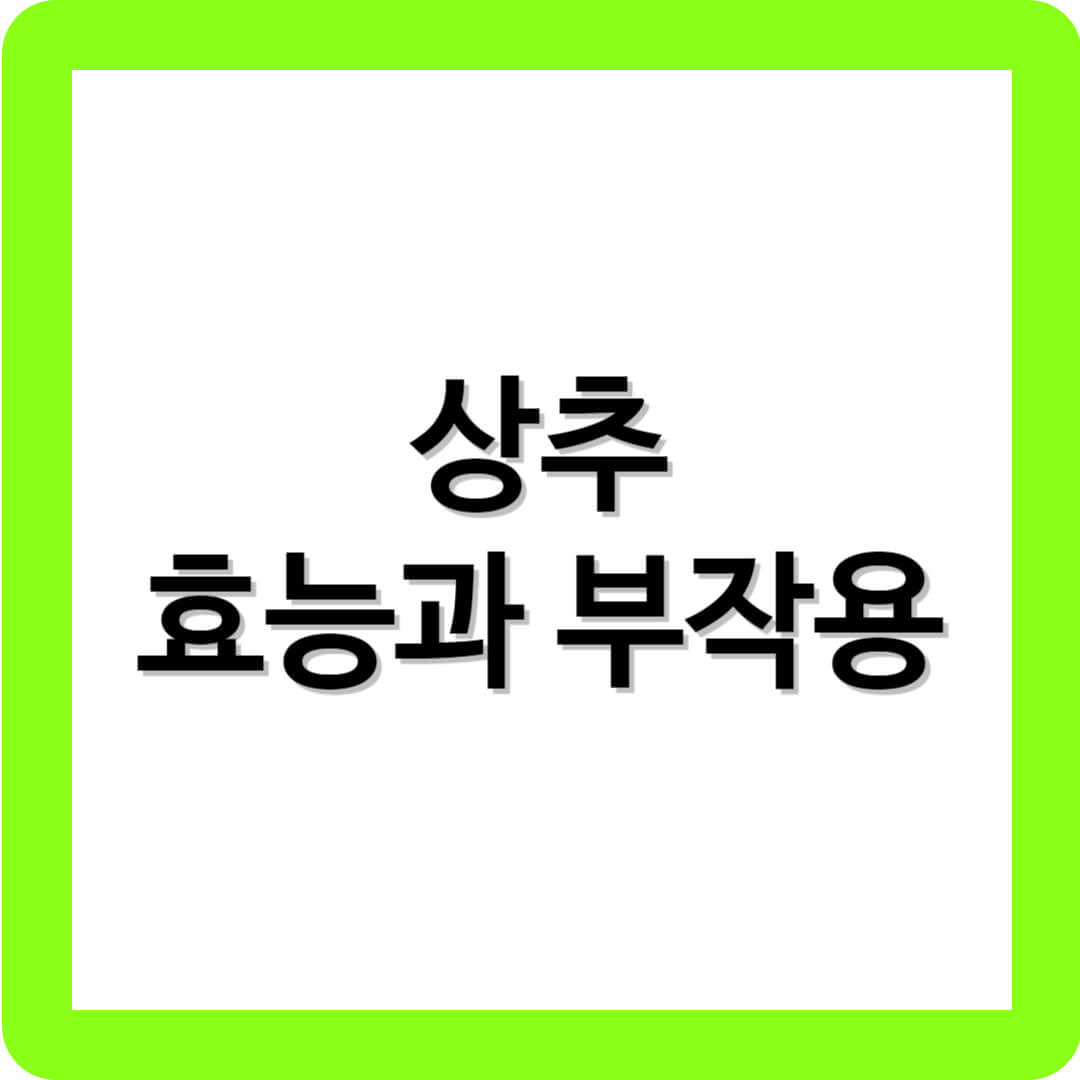 상추의 효능