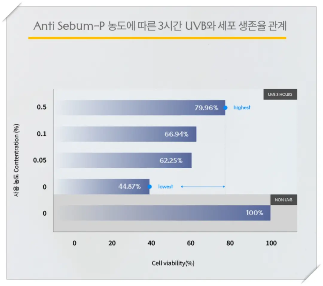 더시드 모공픽서 Anti Sebum-P 자외선 관계