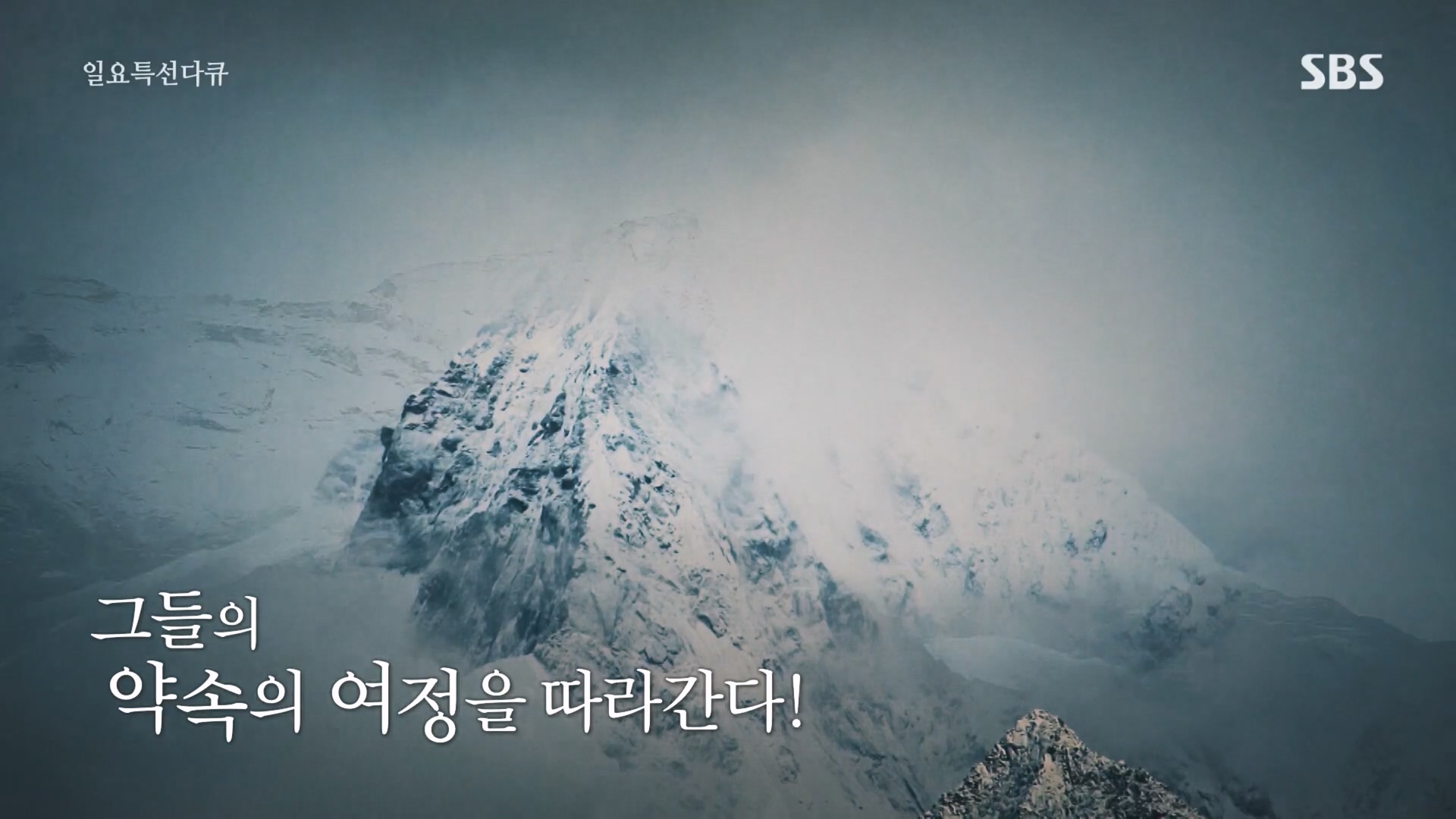 일요 특선 다큐멘터리.E334.231231p.H264-F1RST.mp4_20231231_150209.000.jpg