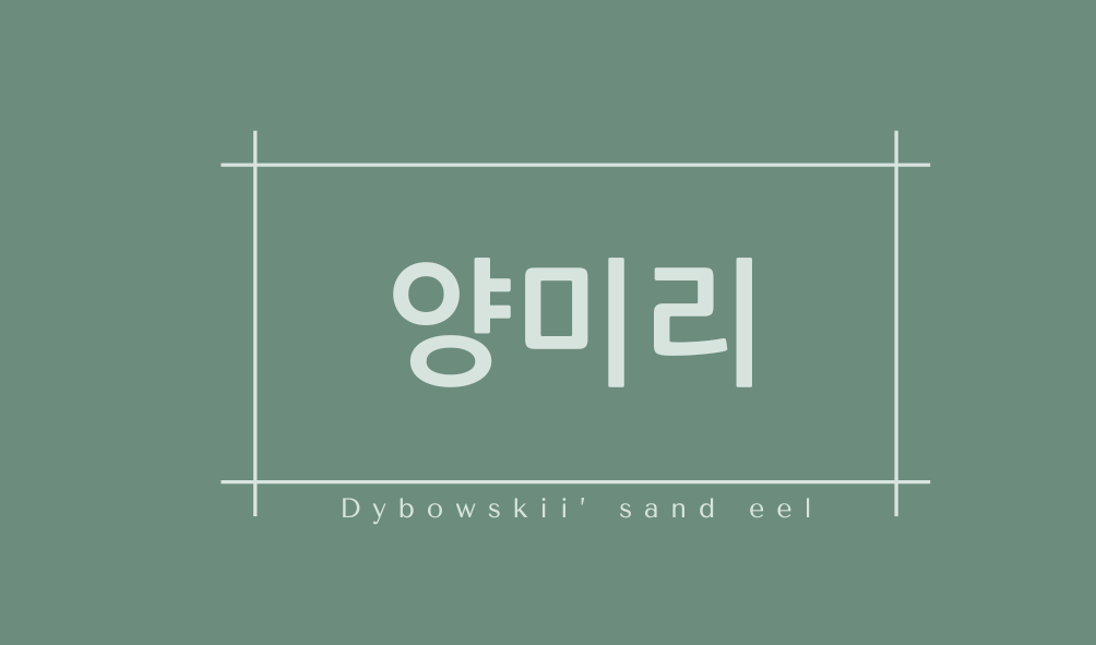 양미리(Dybowskii’ sand eel)