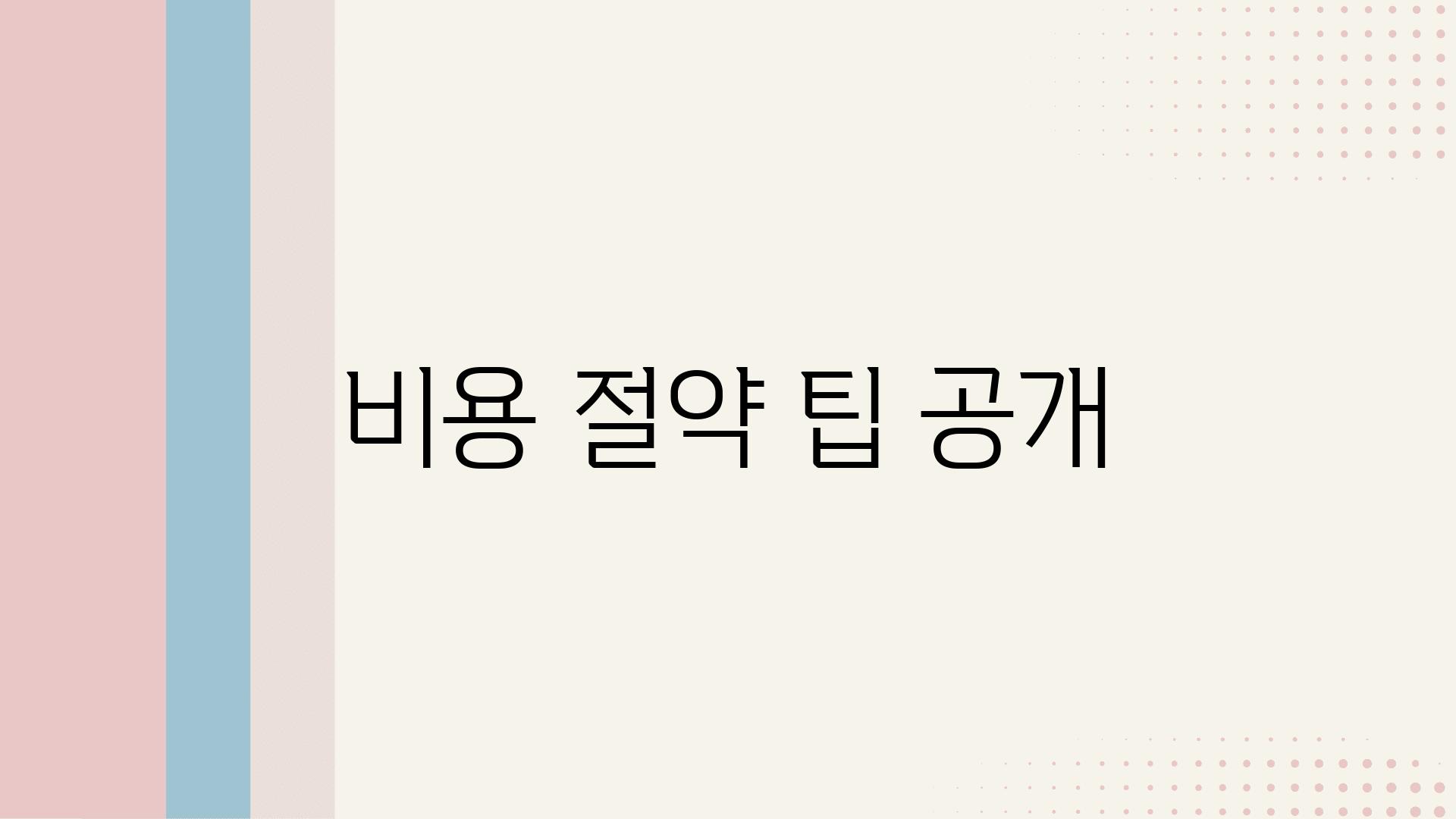 비용 절약 팁 공개