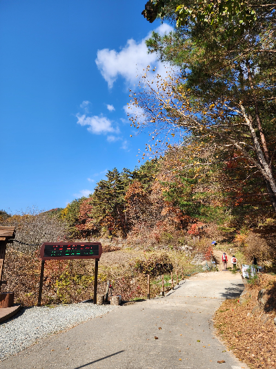 치악산 부곡코스 시작