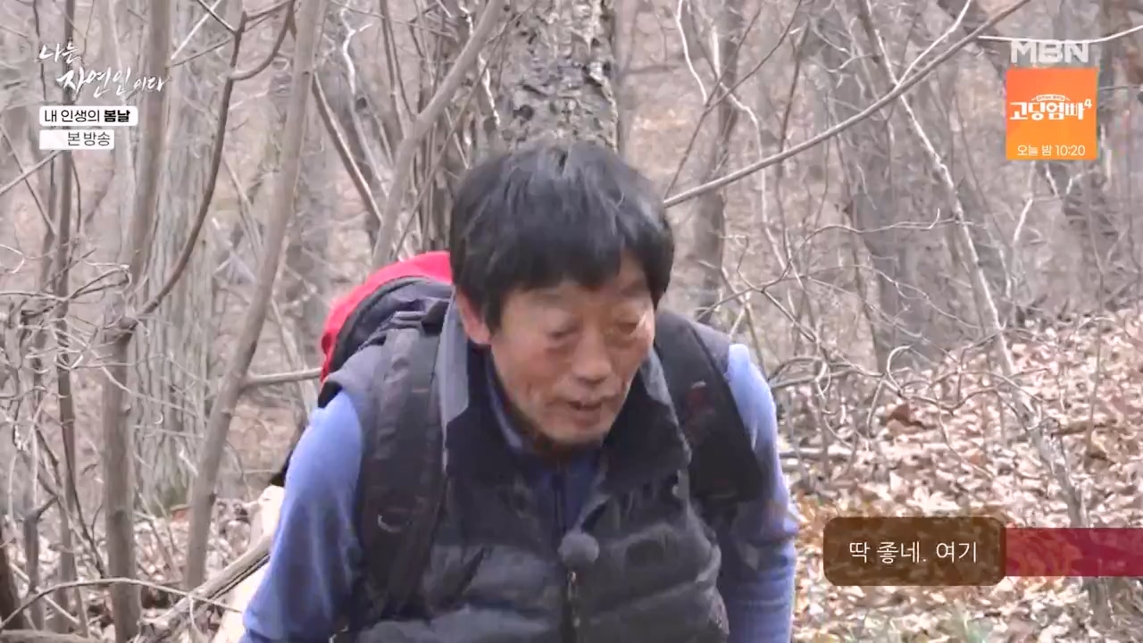 나는 자연인이다.E599.240328p-NEXT.mp4_20240328_195834.711.jpg