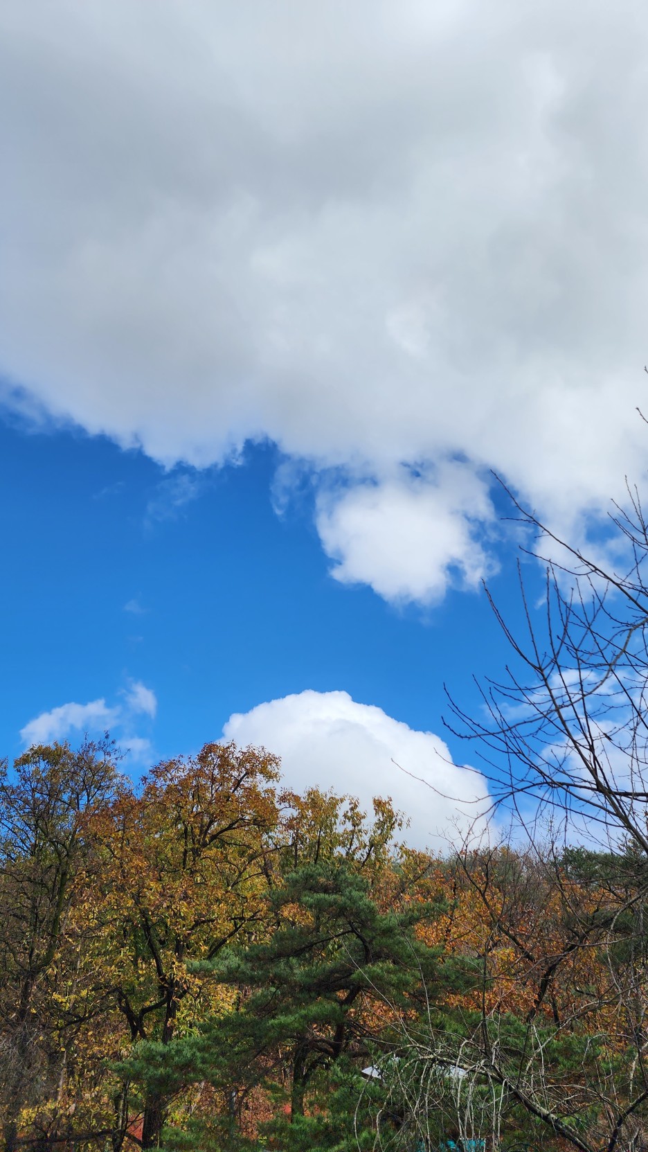 산아래디저트카페 이미지