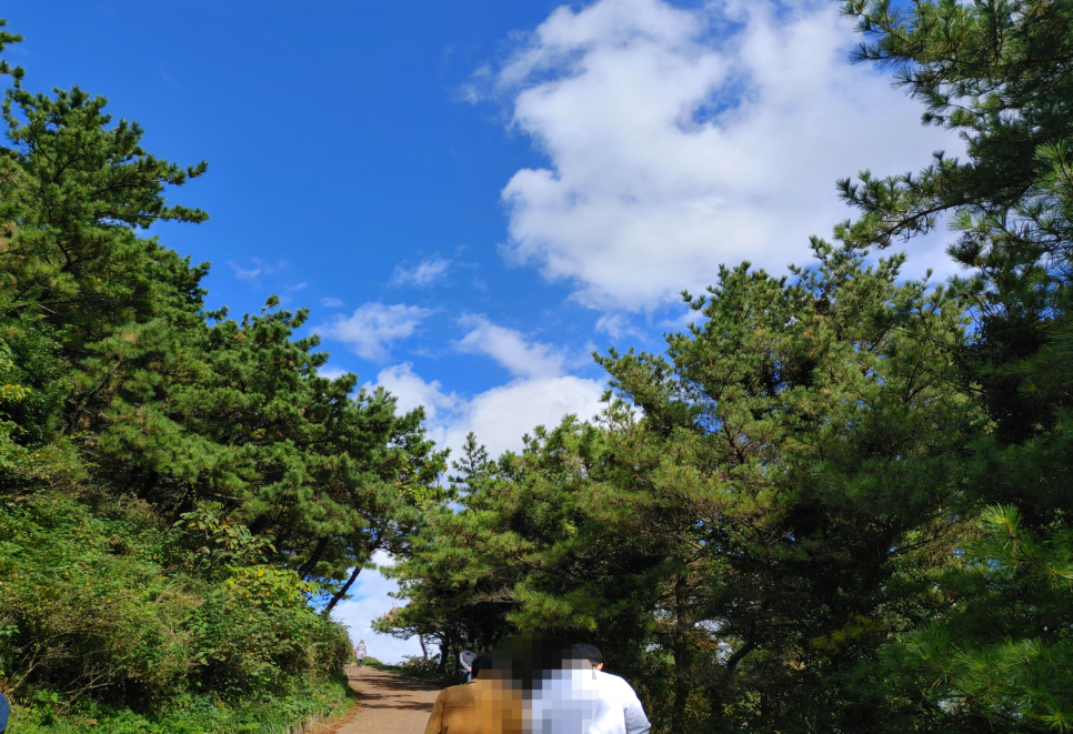 이효리 금악오름 (뮤비 배경) 25