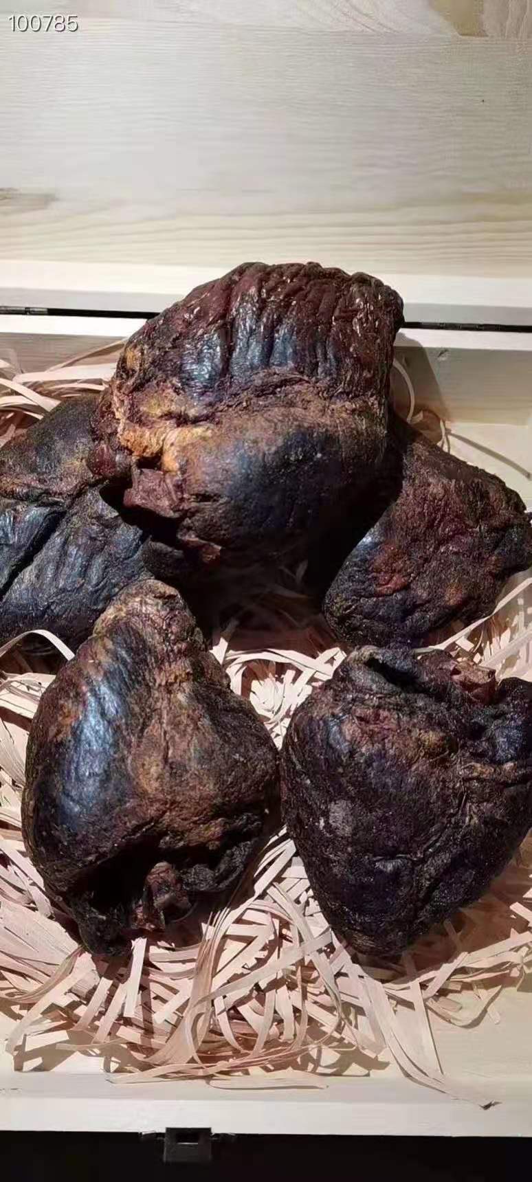 녹심 이미지