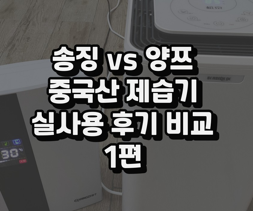  알리알리 차이나