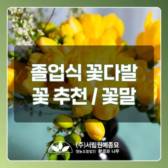 예쁜 꽃말 추천 모음 이해할수록 매력적인 꽃들의 꽃말 안내 모음_23