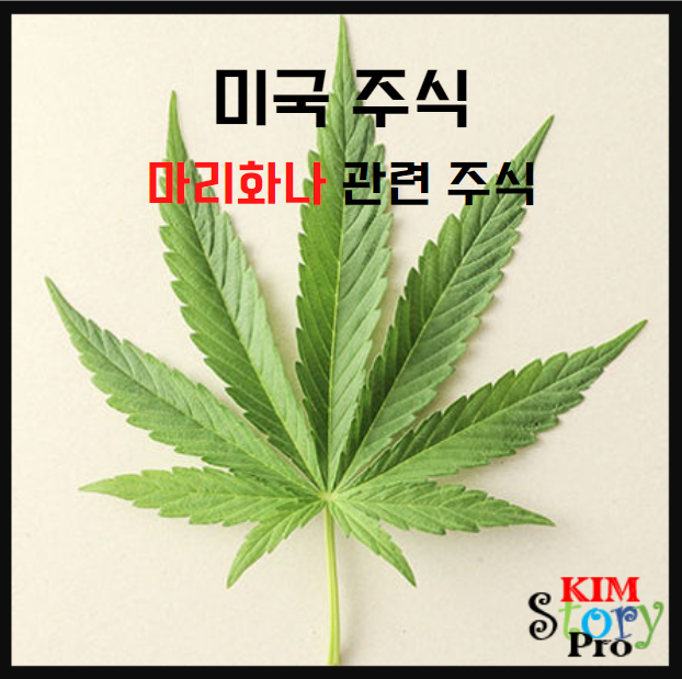  [미국주식] 마리화나 관련 주식
