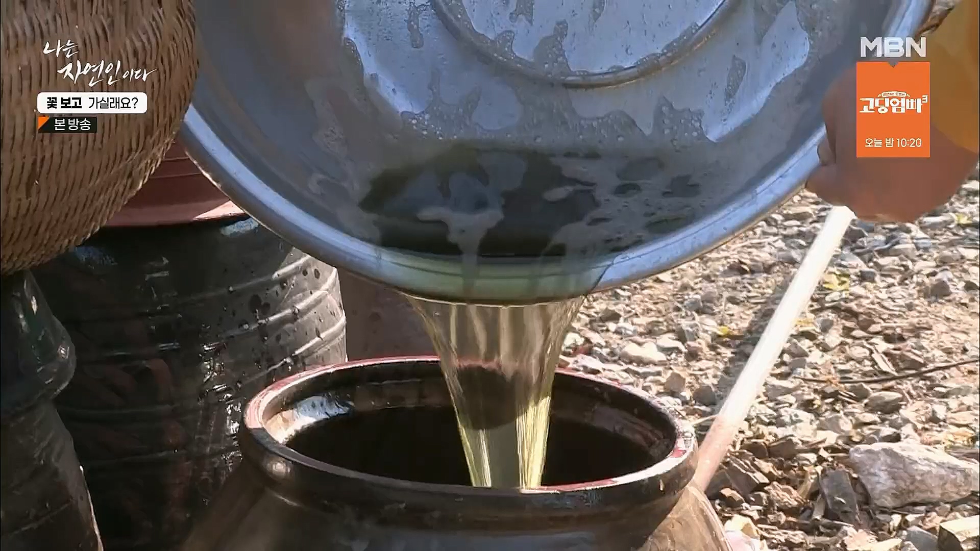 나는 자연인이다.E545.230315p.H264-F1RST.mp4_20230316_212113.085.jpg