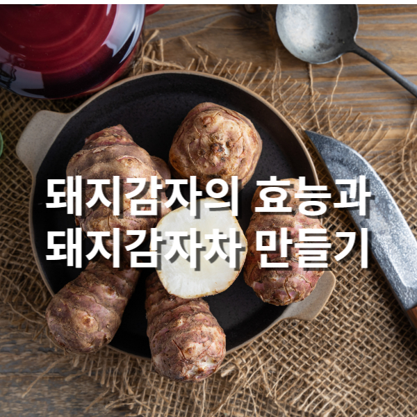  돼지감자 효능과 돼지감자차 만드는 법