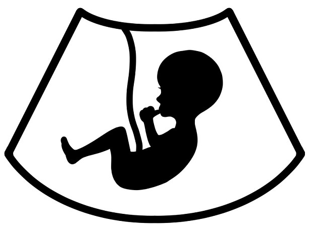 임신-주수-계산기