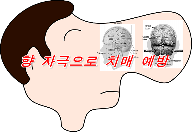  후각의 쇠약은 인지기능 저하의 사인!? 향 자극으로 치매 예방
