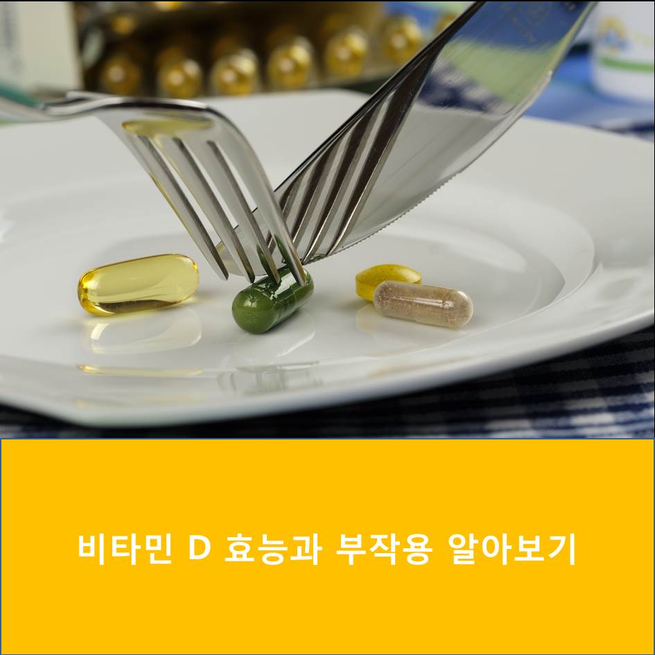  비타민 D 효능과 부작용 알아보기