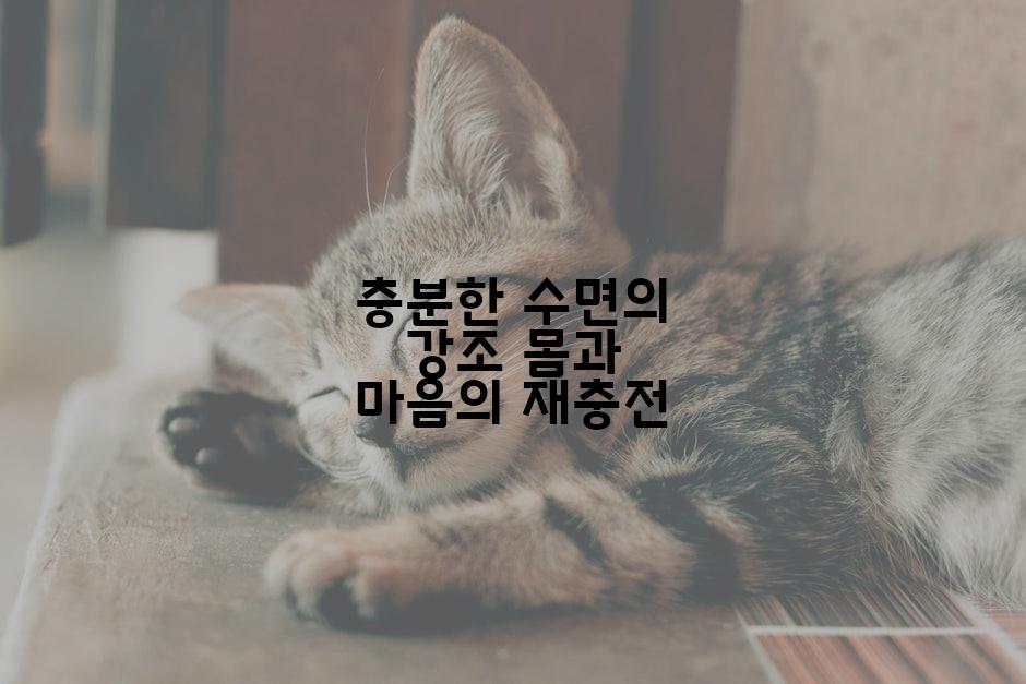 충분한 수면의 강조 몸과 마음의 재충전
