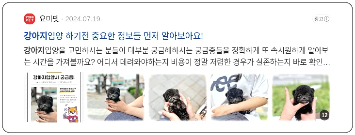 강아지 분양_2_subsection
