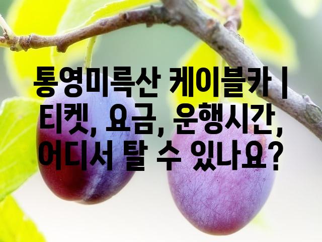 랜덤185