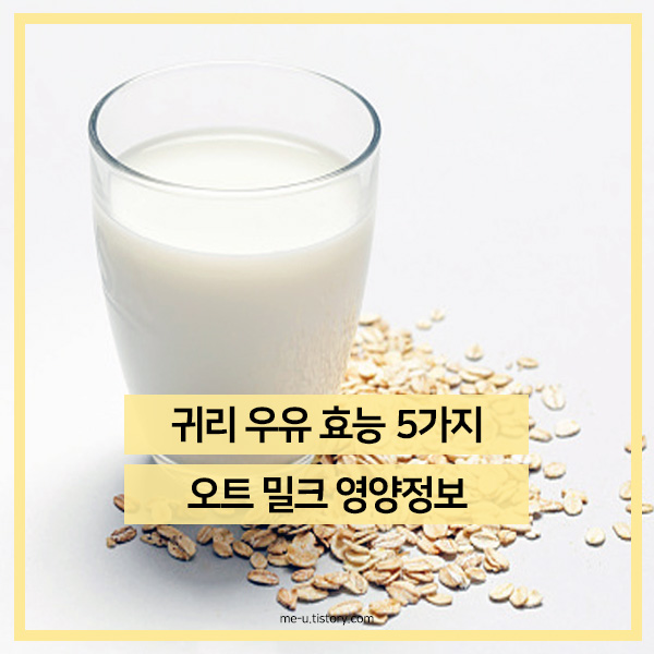 귀리우유 효능, 오트밀크 영양정보