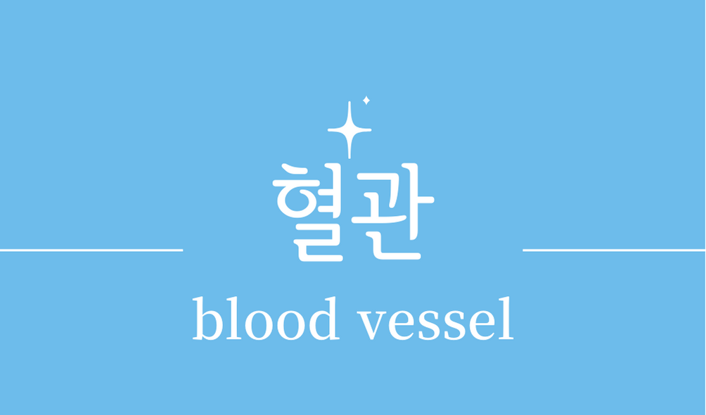 &#39;혈관(blood vessel)&#39;