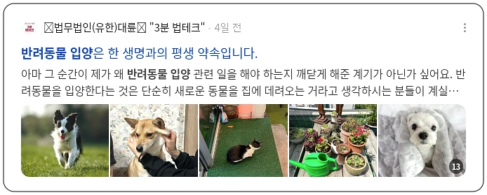 반려동물 입양_2_subsection
