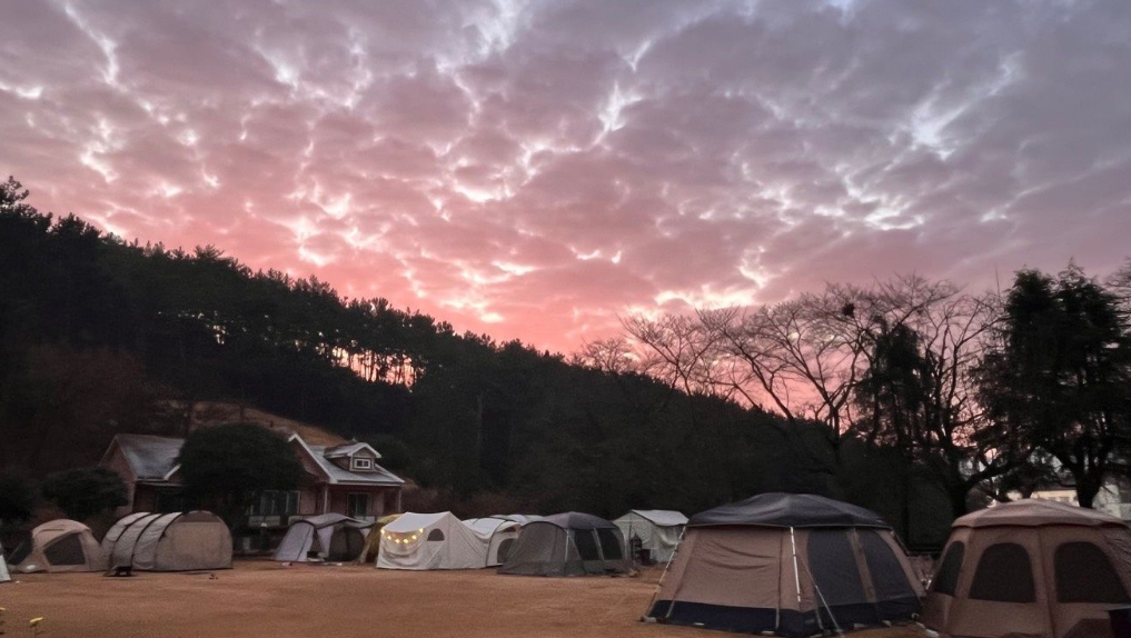 벚꽃 시즌에 떠나는 감성 캠핑여행 ❘ 중부·남부 지역별 캠핑장 추천