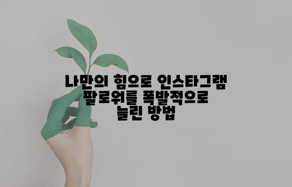 나만의 힘으로 인스타그램 팔로워를 폭발적으로 늘린 방법