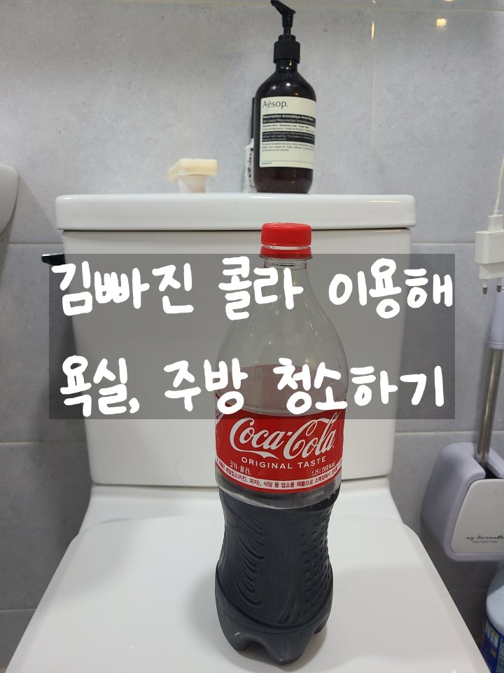 김빠진콜라-활용법