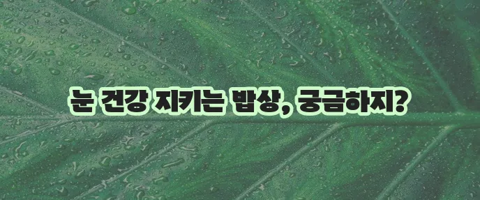 시력에 좋은 음식 10가지
