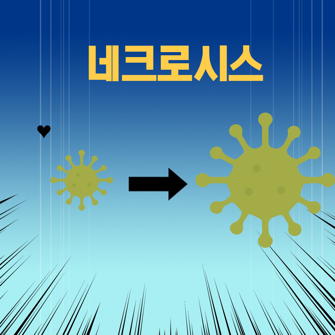 네크로시스