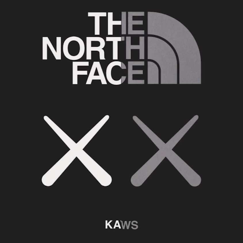 THE NORTH FACE x KAWS XX