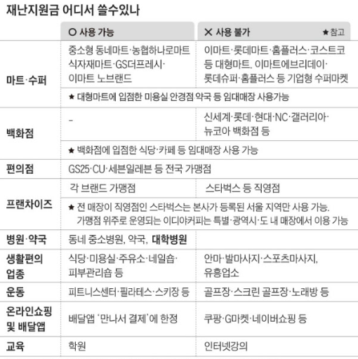  긴급재난지원금으로 샤넬백 구매? [애플/이케아/다이소/유니클로/성형외과]