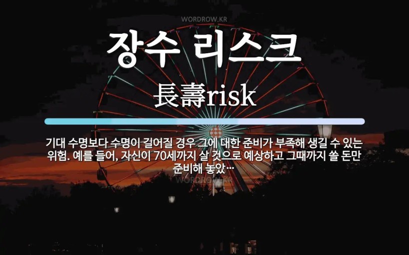 노후자금 장수 리스크