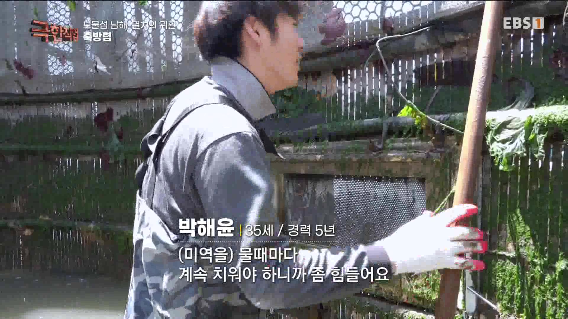 극한 직업 - 보물섬 남해, 멸치의 귀환 1080p.mp4_20230612_202040.749.jpg