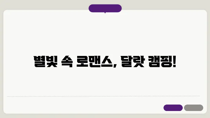 별빛하루 이미지