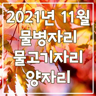 (물병자리, 물고기자리, 양자리) 2021년 11월 은하별의 별자리 운세