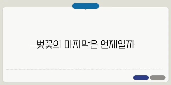 벚꽃 엔딩 언제? 벚꽃이 지는 시기 & 꽃비 명소